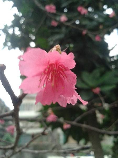 20170122_163510