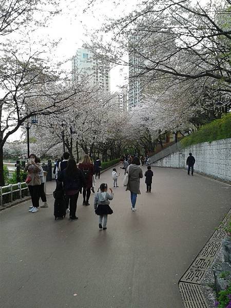 20170412_171308