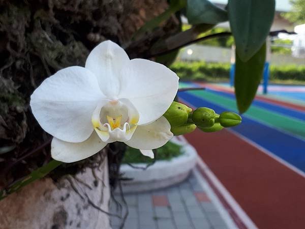 20180312_084442