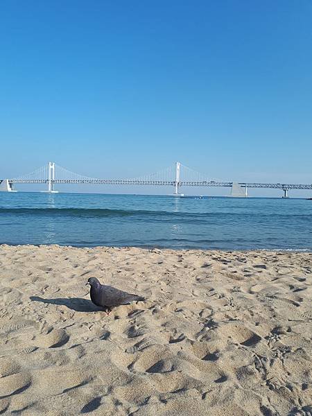 20181101_142758.jpg