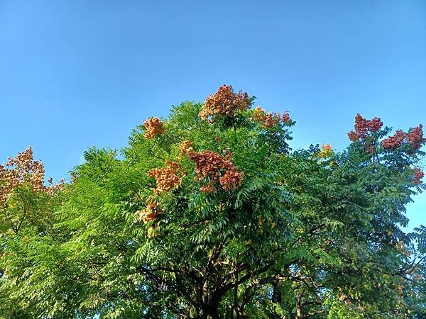 20211107_151437.jpg