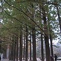 IMG_3552