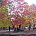 IMG_3668