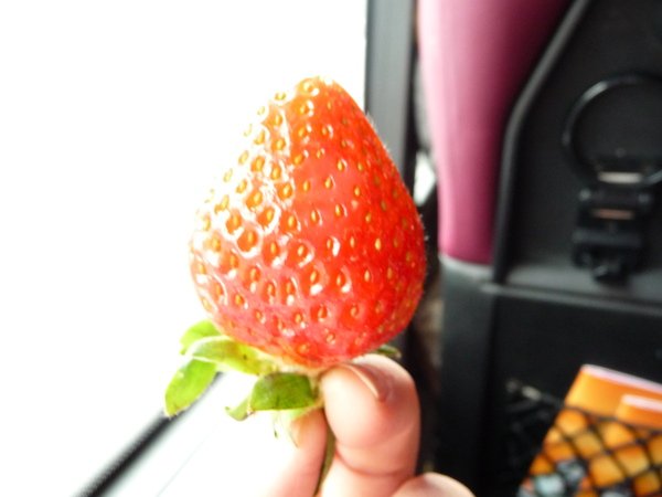 P1030030.JPG