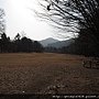 IMG_4240.JPG