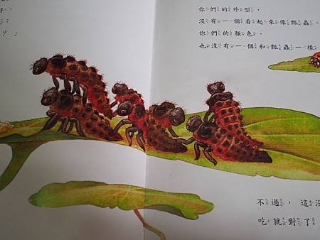 P7010027