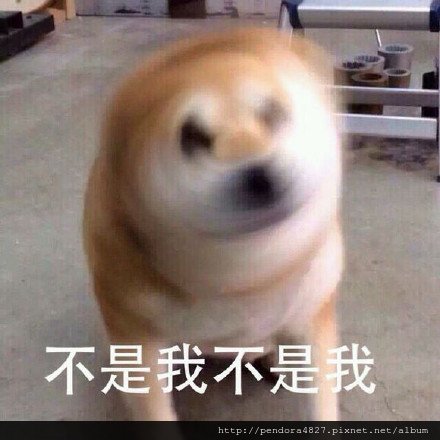005Obw67jw1eyy7gg75lwj30g40g440a.jpg