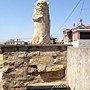 IMG_4341