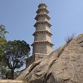 IMG_4601
