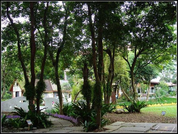 DSC05151_nEO_IMG.jpg