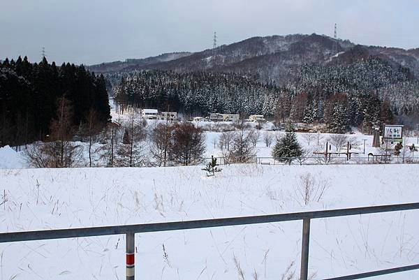 05 好喜歡這樣的雪白風景.JPG