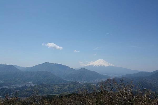 IMG_7167