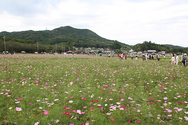 R 346.jpg