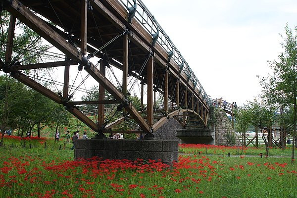 R 455.jpg