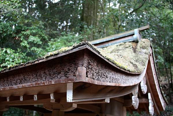 23 一層層檜木樹皮疊成的屋頂.jpg