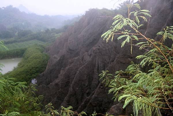 金山社區