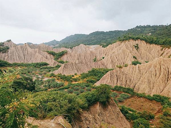 金山社區