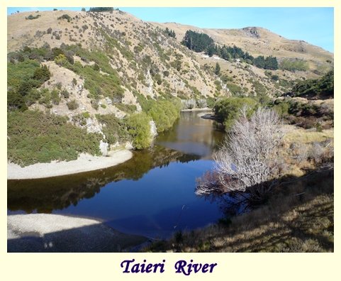 20100319-Taieri Gorge Railway6.JPG