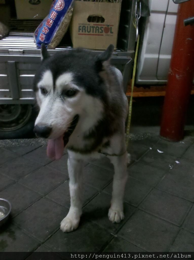 2011-08-12_21-36-47_361.jpg