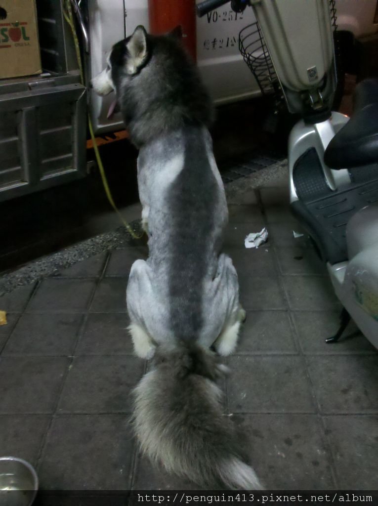 2011-08-12_21-38-00_989.jpg