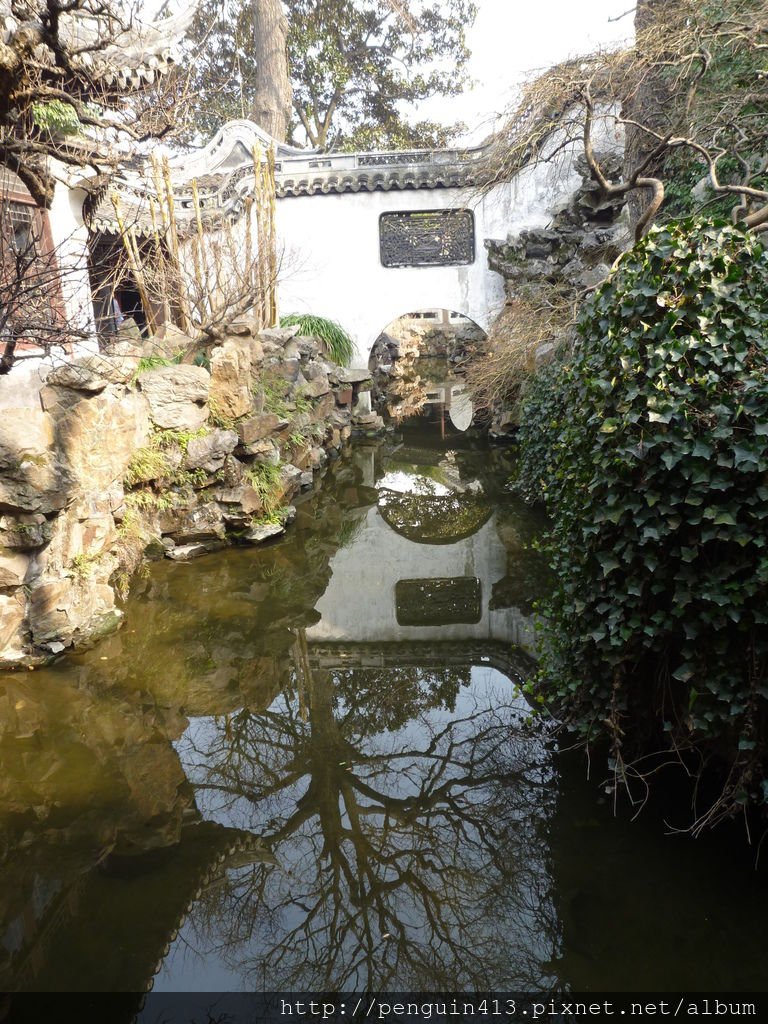 P1150016.JPG