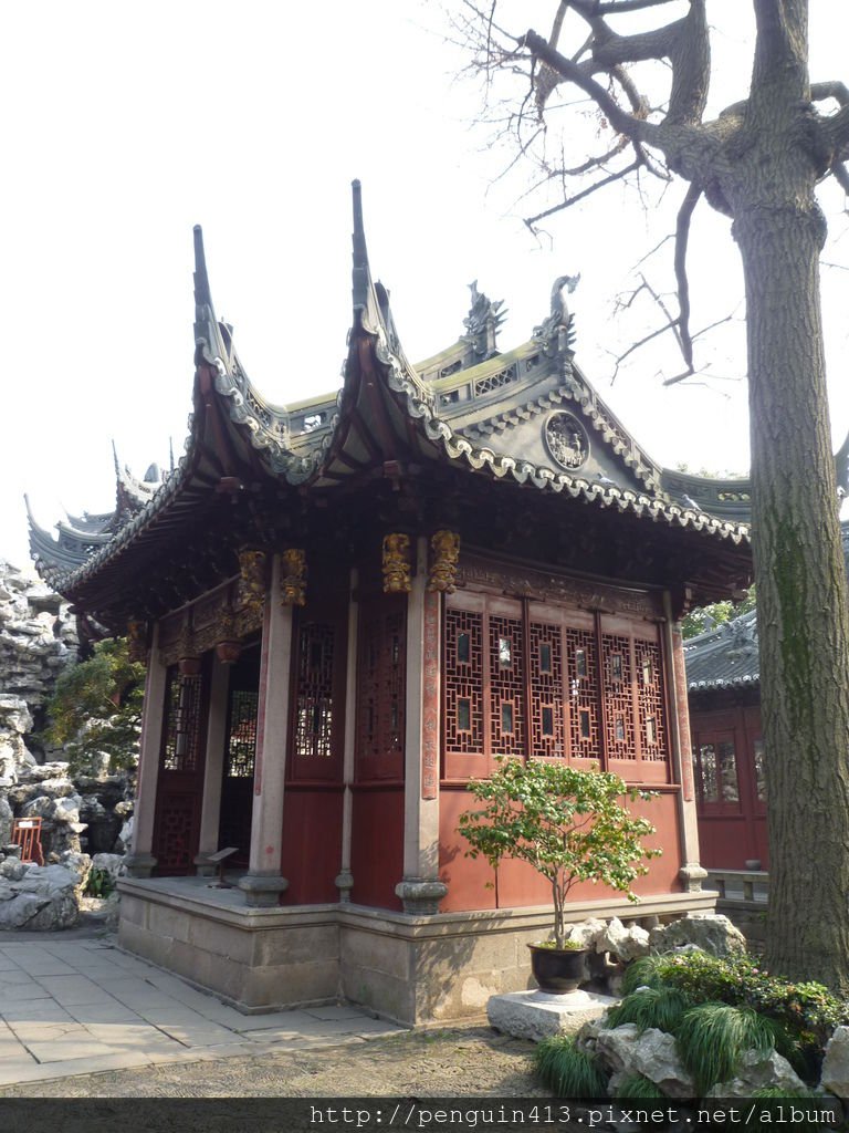 P1150019.JPG