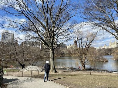 IMG_1534.jpg