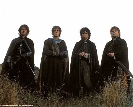 grass_the_lord_of_the_rings_sa_1500x1204_