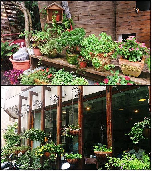 植栽