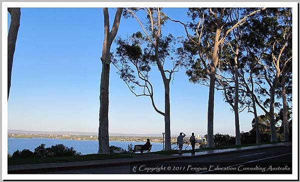 Kings Park - West Perth 20110510 (7).jpg