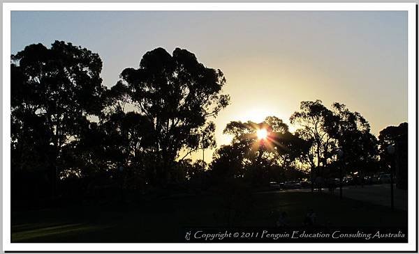Kings Park - West Perth 20110510 (17).jpg