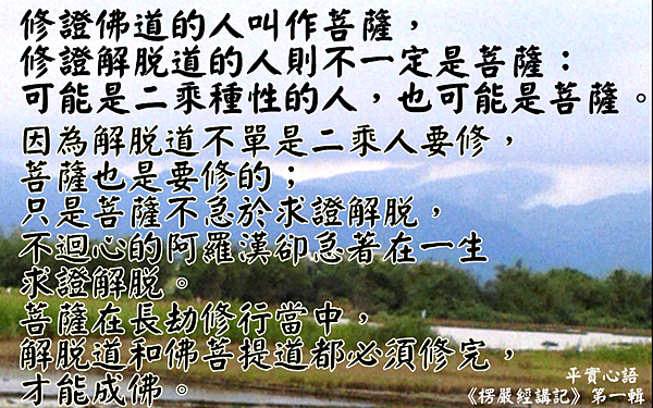 31. 0613佛菩提道的菩薩.png