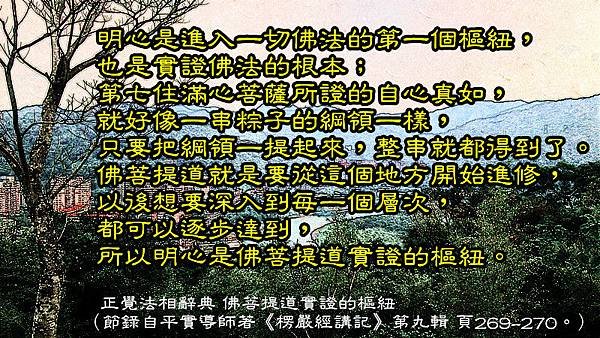 65. 0829佛菩提道實證的樞紐.jpg