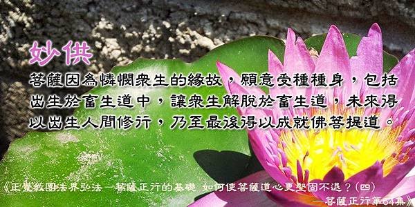 20150702菩薩願意受種種身_里.jpg