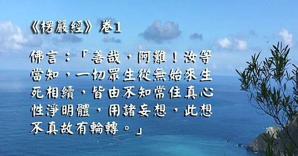 20151227不知常住真心、生死輪轉不已.jpg