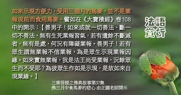 1024如來示現方便力，受用三個月的馬麥.jpg