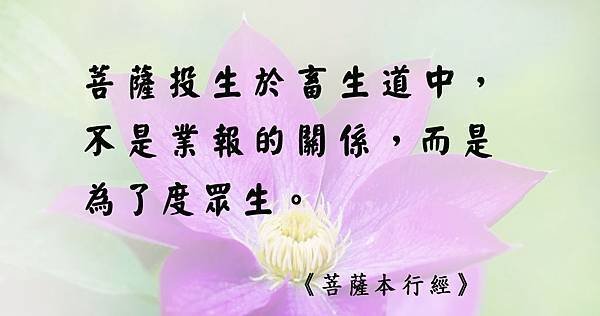 1013貼 菩薩.jpg