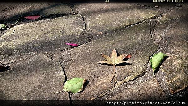 2014-01-19-19-37-37_deco (1)