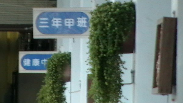 IMGA0241.JPG