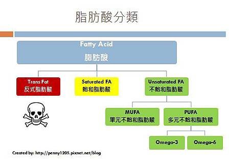 fatty acid.jpg