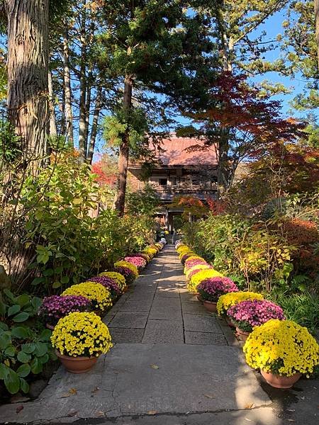 |青龍山.吉祥寺|有『花寺』之美名—北關東賞楓名所