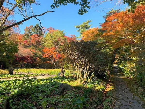 |青龍山.吉祥寺|有『花寺』之美名—北關東賞楓名所