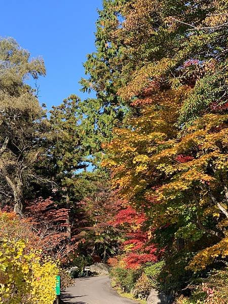 |青龍山.吉祥寺|有『花寺』之美名—北關東賞楓名所