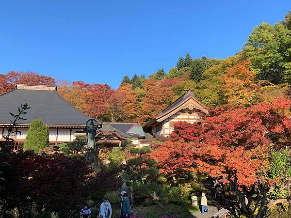 |青龍山.吉祥寺|有『花寺』之美名—北關東賞楓名所