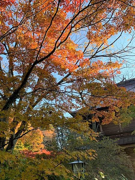 |青龍山.吉祥寺|有『花寺』之美名—北關東賞楓名所