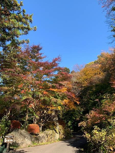 |青龍山.吉祥寺|有『花寺』之美名—北關東賞楓名所