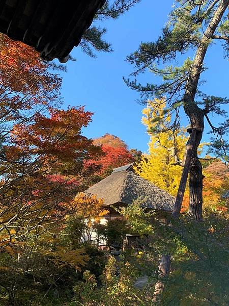 |青龍山.吉祥寺|有『花寺』之美名—北關東賞楓名所