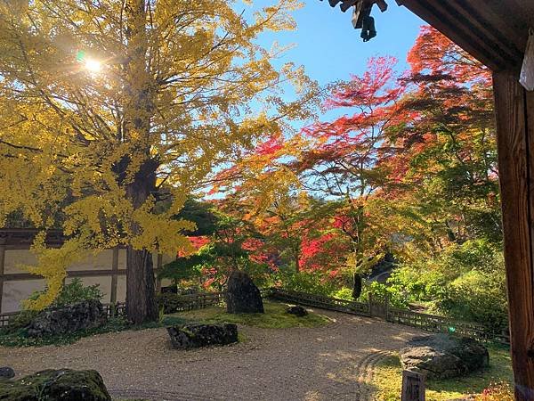 |青龍山.吉祥寺|有『花寺』之美名—北關東賞楓名所