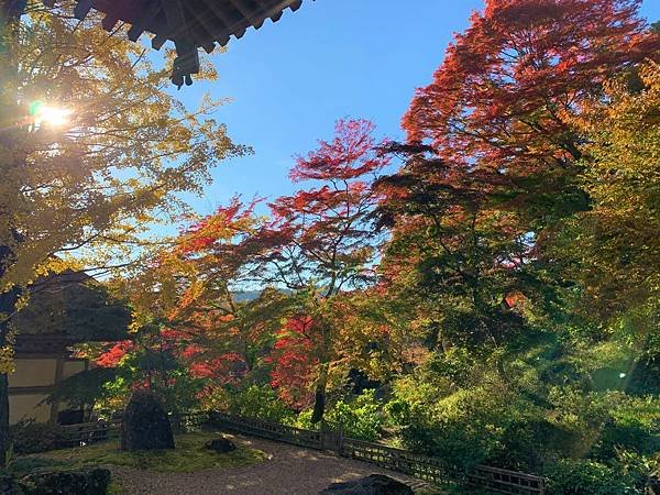 |青龍山.吉祥寺|有『花寺』之美名—北關東賞楓名所