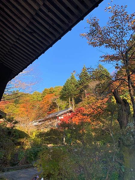 |青龍山.吉祥寺|有『花寺』之美名—北關東賞楓名所